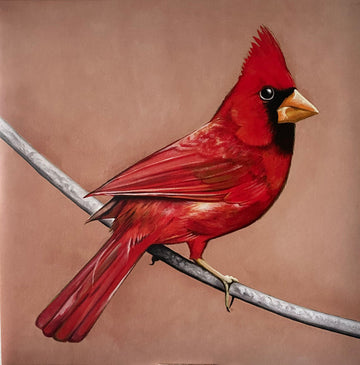 Alexisonfire : Old Crows / Young Cardinals (2xLP, Album, RP)