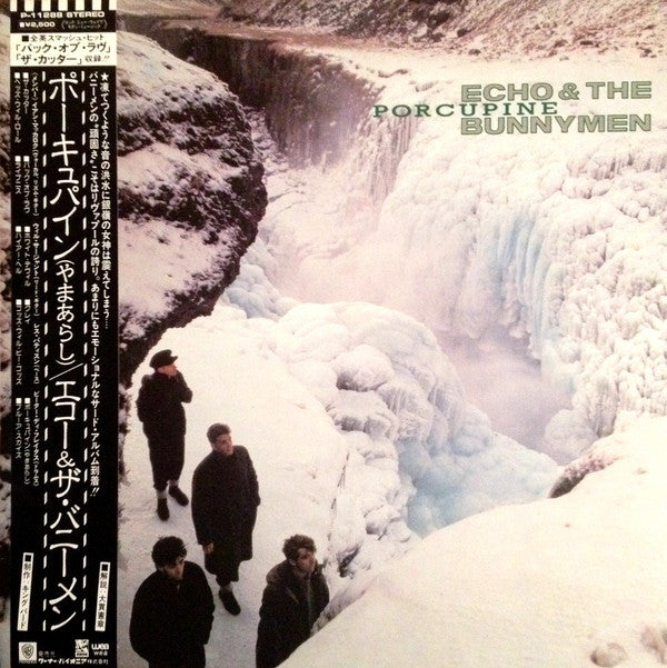 Echo & The Bunnymen : Porcupine (LP, Album)